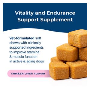 Dyne Endurance and Vitality Soft Chews for Dogs 60 ct - Item # 53052
