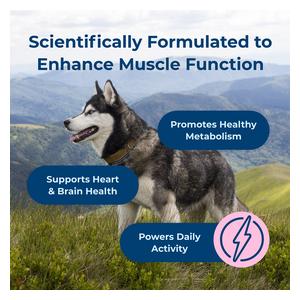 Dyne Endurance and Vitality Soft Chews for Dogs 60 ct - Item # 53052