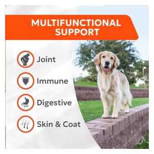 Cosequin Joint Health Supplement with Multifunctional Support Soft Chew for Dogs 90 ct - Item # 53121