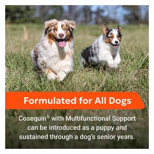 Cosequin Joint Health Supplement with Multifunctional Support Soft Chew for Dogs 90 ct - Item # 53121