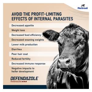 Defendazole Oral Dewormer for Cattle and Goats 5 liters - Item # 53281