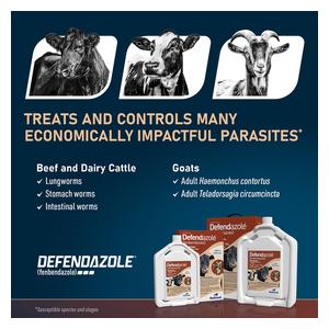 Defendazole Oral Dewormer for Cattle and Goats 5 liters - Item # 53281