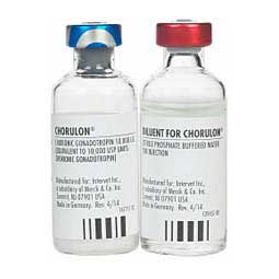 Chorulon HCG for Cattle 10000 IU 10 ml - Item # 532RX