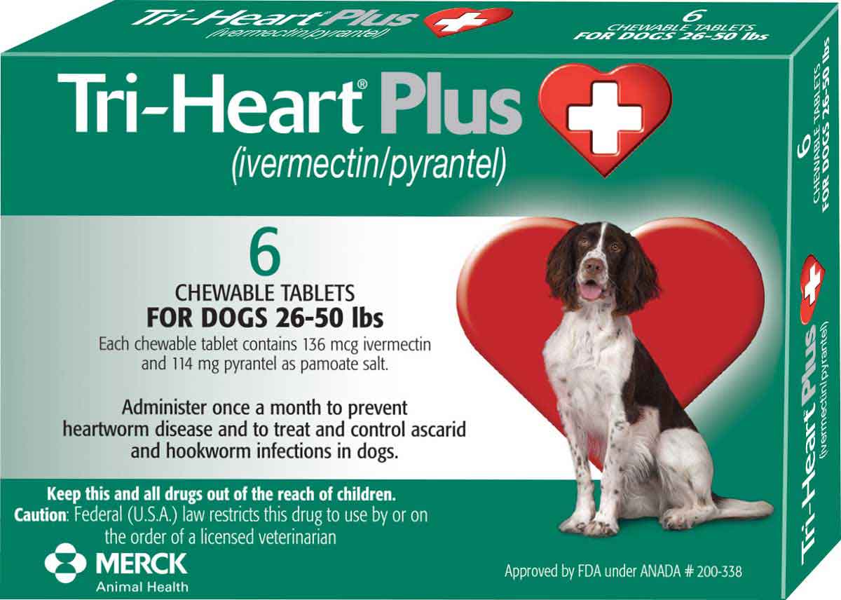 Tri Heart Plus For Dogs Compares To Heartgard Plus Merck Safe Tri Heart Plus For Dogs Compares To Heartgard Plus Merck Safe