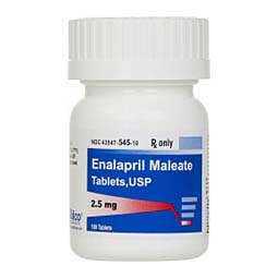 Enalapril Maleate for Dogs 2.5 mg 100 ct - Item # 567RX