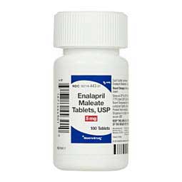 Enalapril Maleate for Dogs 5 mg 100 ct - Item # 582RX