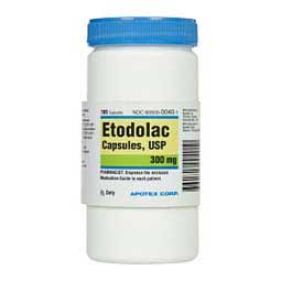 Etodolac for Dogs 300 mg 100 ct - Item # 584RX