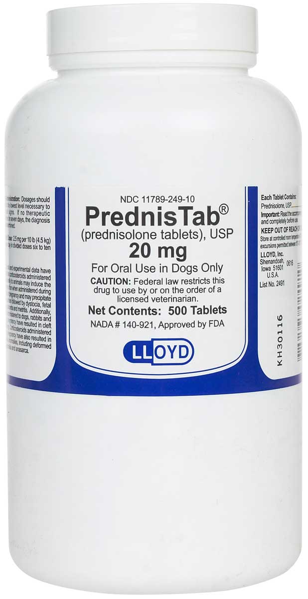Order prednisolone