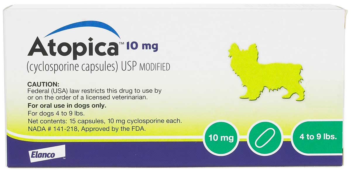 Cyclosporine sales dog reaction