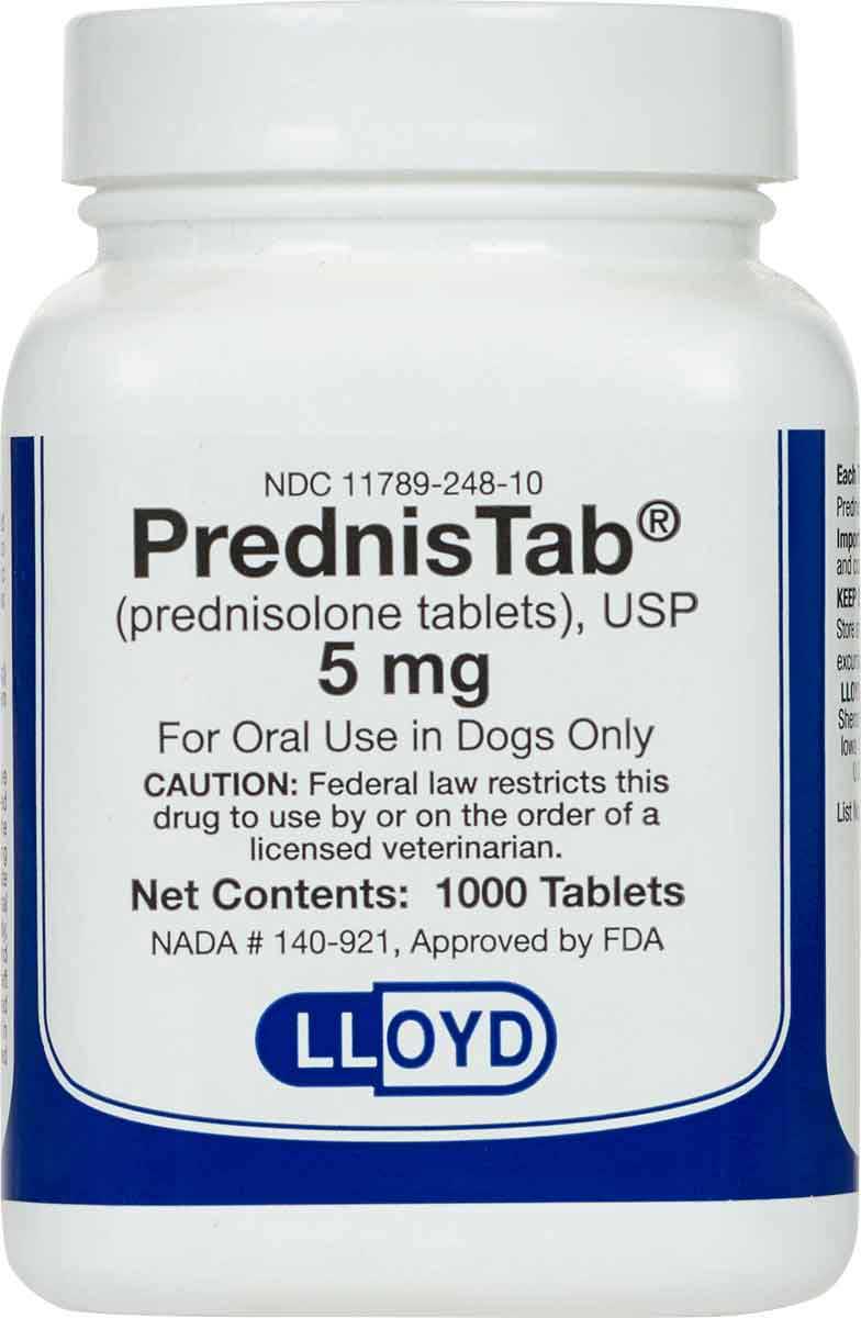 Prednisolone 10mg online