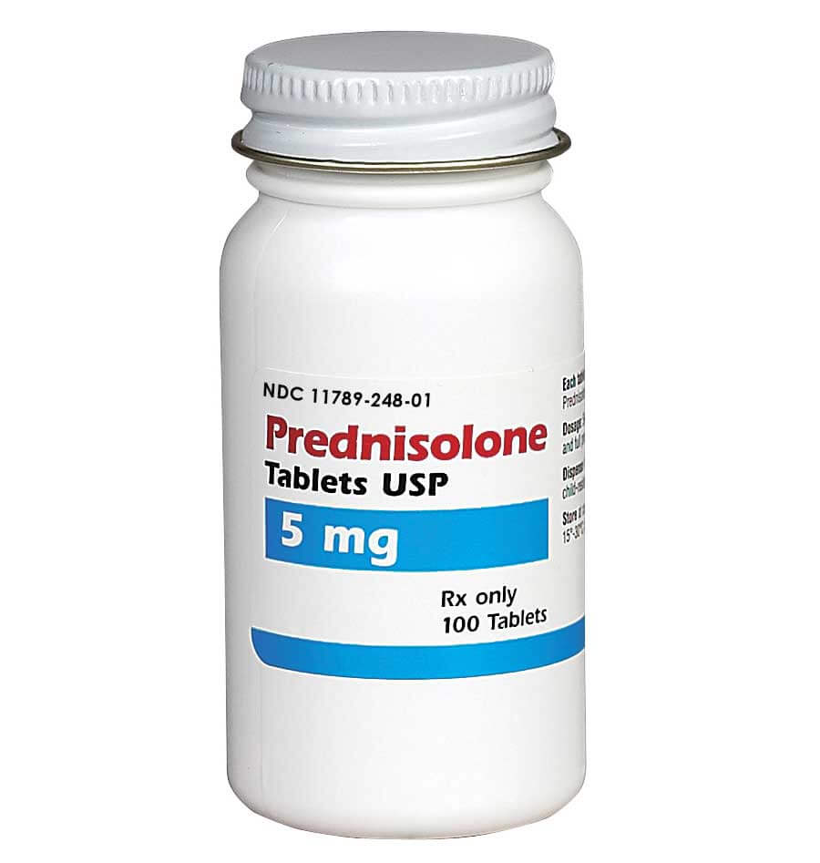 Prednisolone purchase