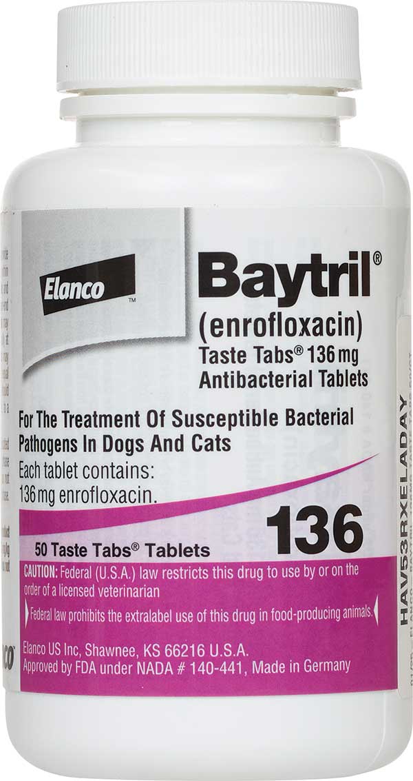 Baytril Antibacterial Taste Tabs for Dogs Cats Bayer - Safe.Pharmacy|Antibiotics | Dog Rx | Pet