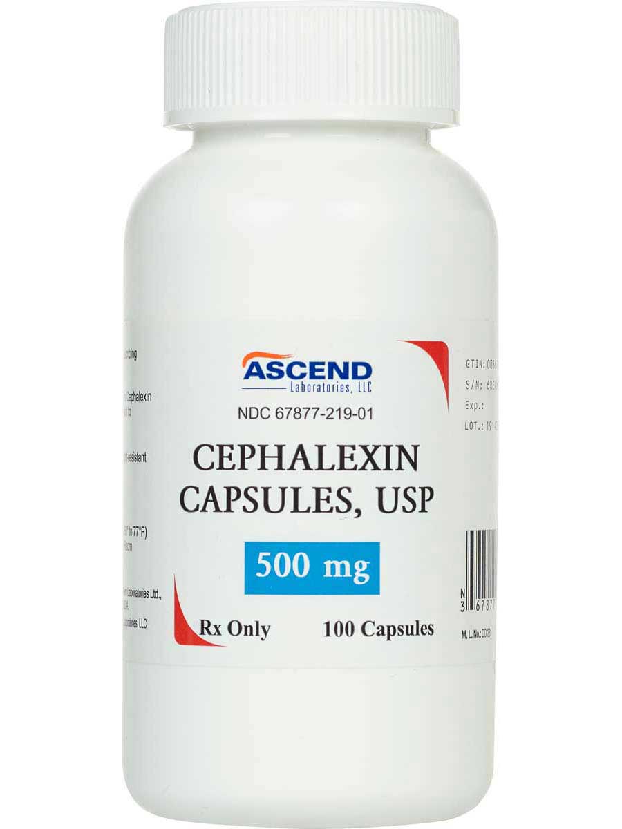 Cephalexin for Dogs Cats Generic (brand may vary) Safe.PharmacyCat