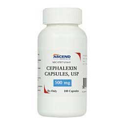 Cephalexin 500 mg 100 ct - Item # 662RX