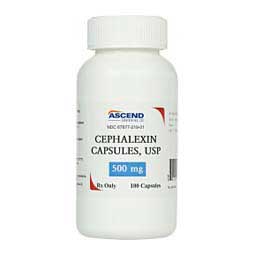 Cephalexin for Dogs & Cats 500 mg 100 ct - Item # 662RX