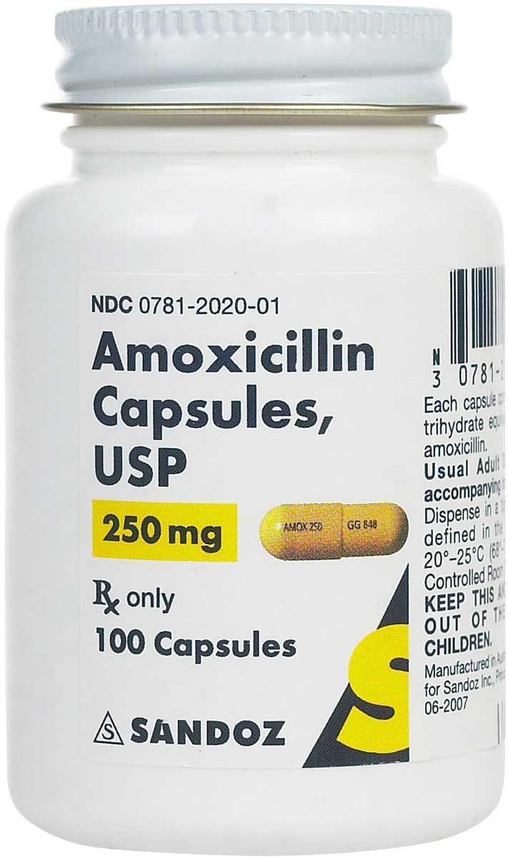 Amoxicillin for Dogs & Cats 250 mg 100 ct Item 686RX