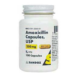Amoxicillin for Dogs & Cats 250 mg 100 ct - Item # 686RX