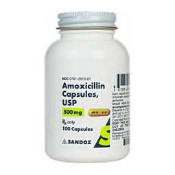 Amoxicillin 500 mg 100 ct - Item # 697RX