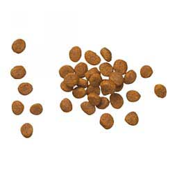 Pro Plan DM Dietetic Management Dry Cat Food 6 lb - Item # 70001