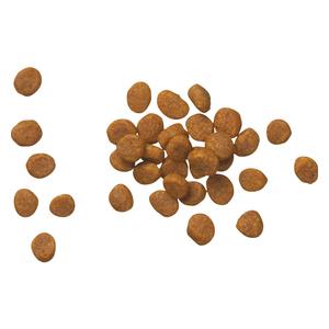 Pro Plan DM Dietetic Management Dry Cat Food 6 lb - Item # 70001
