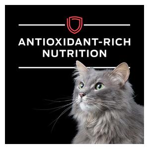 Pro Plan DM Dietetic Management Dry Cat Food 6 lb - Item # 70001