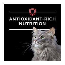 Pro Plan DM Dietetic Management Dry Cat Food 6 lb - Item # 70001