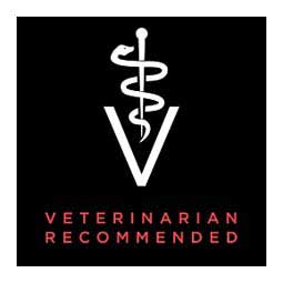 Purina Pro Plan Veterinary Diets DM Dietetic Management Dry Cat Food 6 lb - Item # 70001