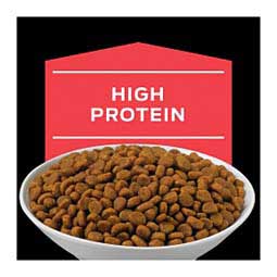 Pro Plan DM Dietetic Management Dry Cat Food 6 lb - Item # 70001