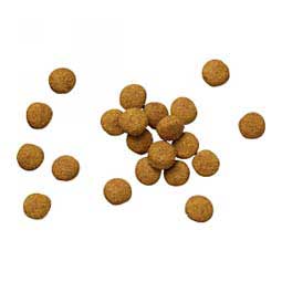 Pro Plan DH Dental Health Dry Dog Food 18 lb - Item # 70003