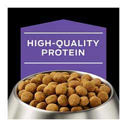 Pro Plan DH Dental Health Dry Dog Food 18 lb - Item # 70003