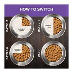 Pro Plan DH Dental Health Dry Dog Food 18 lb - Item # 70003
