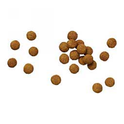 Pro Plan DH Dental Health Small Bites Dry Dog Food 6 lb - Item # 70004