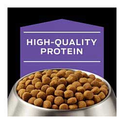 Pro Plan DH Dental Health Small Bites Dry Dog Food 6 lb - Item # 70004