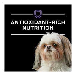 Pro Plan DH Dental Health Small Bites Dry Dog Food 6 lb - Item # 70004