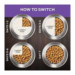 Pro Plan DH Dental Health Small Bites Dry Dog Food 6 lb - Item # 70004