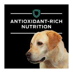 Pro Plan EN Gastroenteric Dry Dog Food 32 lb - Item # 70010