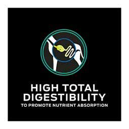 Pro Plan EN Gastroenteric Low Fat Dry Dog Food 18 lb - Item # 70015