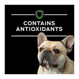 Pro Plan HA Hydrolyzed Canned Dog Food - Chicken 13.3 oz (12 ct) - Item # 70026