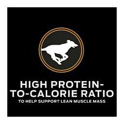 Pro Plan JM Joint Mobility Dry Dog Food 18 lb - Item # 70028