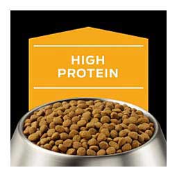 Pro Plan JM Joint Mobility Dry Dog Food 32 lb - Item # 70029