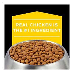 Pro Plan NC NeuroCare Dry Dog Food 11 lb - Item # 70031