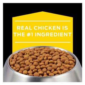 Pro Plan NC NeuroCare Dry Dog Food 11 lb - Item # 70031