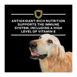 Pro Plan NC NeuroCare Dry Dog Food 11 lb - Item # 70031