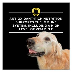 Pro Plan NC NeuroCare Dry Dog Food 11 lb - Item # 70031