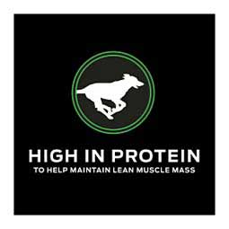 Pro Plan NC NeuroCare Dry Dog Food 11 lb - Item # 70031