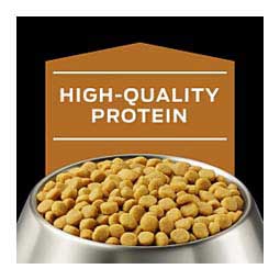 Pro Plan NF Kidney Function Dry Dog Food 6 lb - Item # 70032