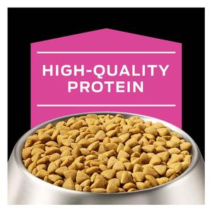 Pro Plan UR Urinary Ox/St Dry Dog Food 6 lb - Item # 70038