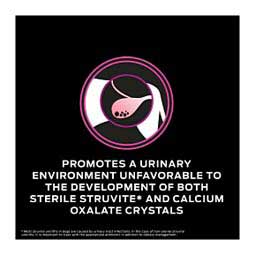 Purina Pro Plan Veterinary Diets UR Urinary Ox/St Dry Dog Food 6 lb - Item # 70038
