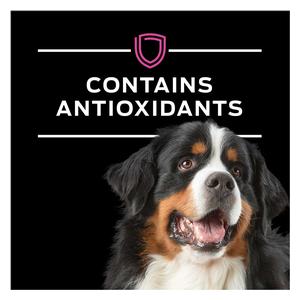 Pro Plan UR Urinary Ox/St Dry Dog Food 25 lb - Item # 70040