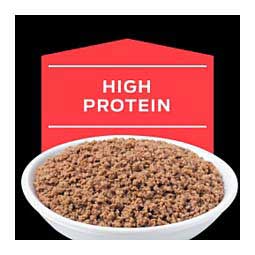 Pro Plan DM Dietetic Management Canned Cat Food 5.5 oz (24 ct) - Item # 70041